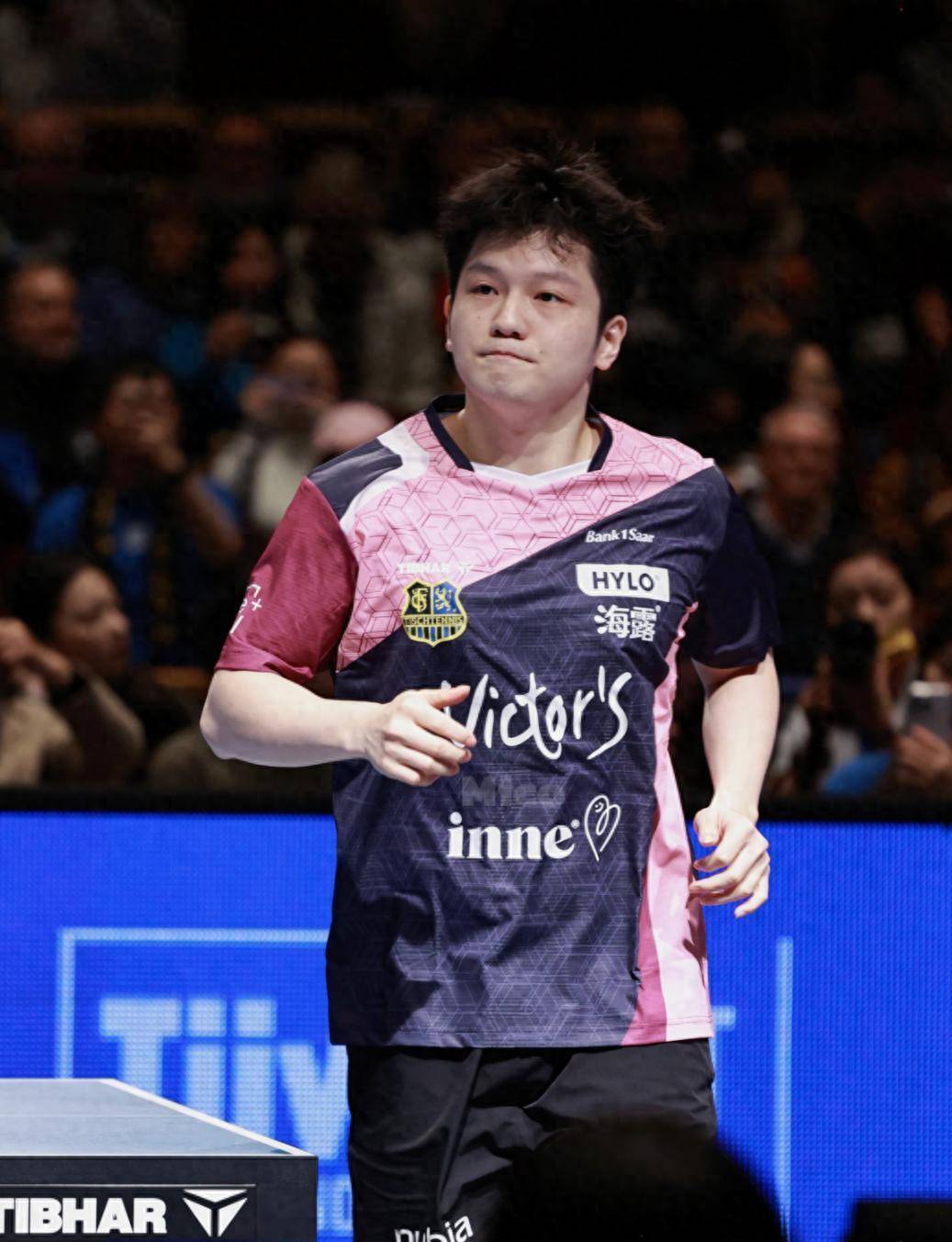 奥地利队碾压波兰队，樊振东点燃赛场